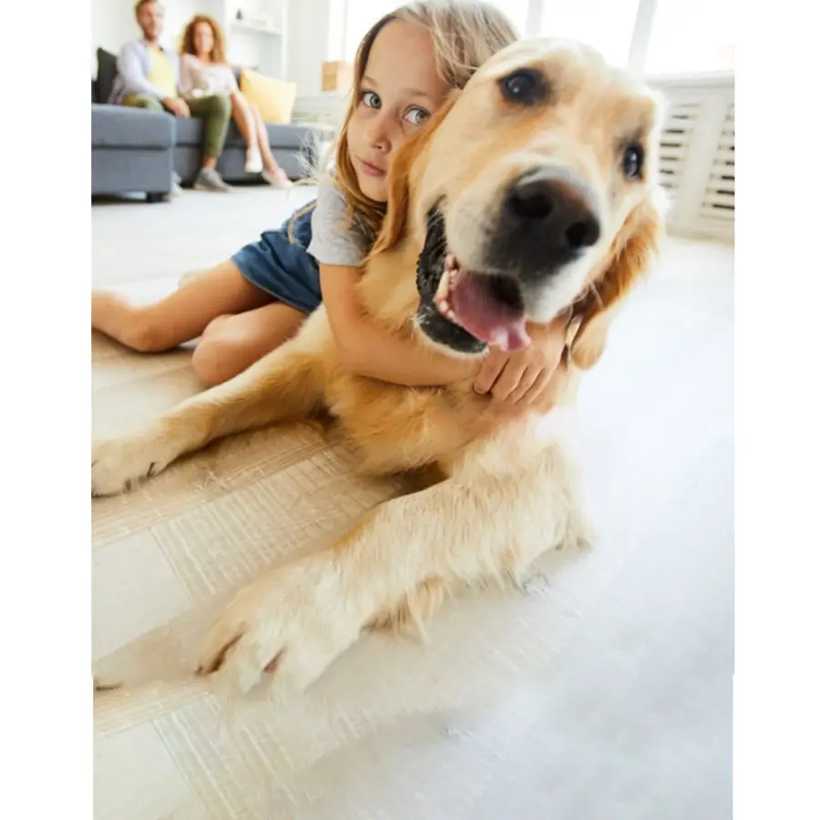 Deep Upholstery Cleaning