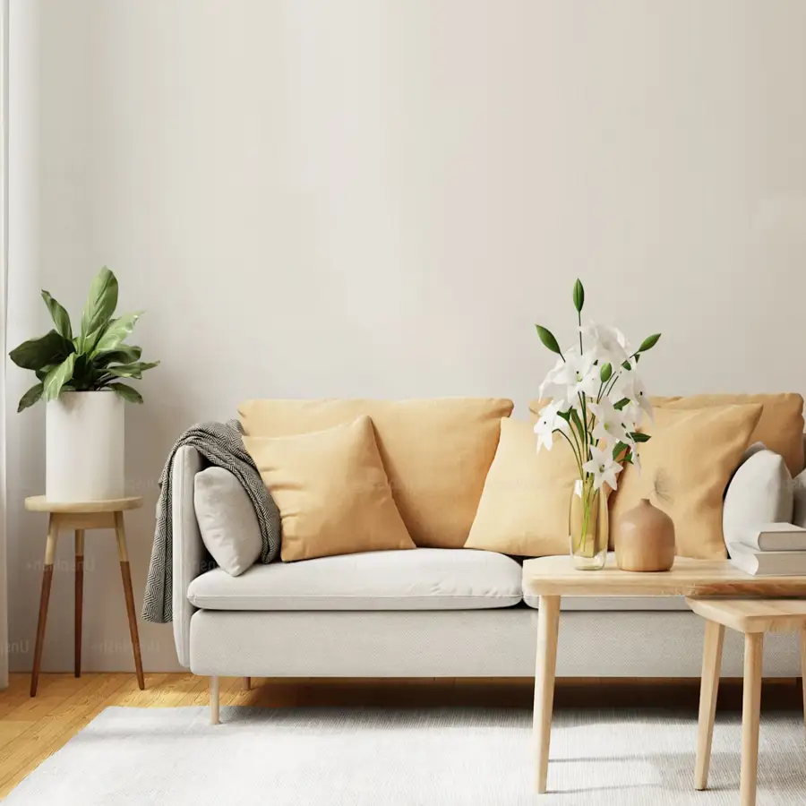 Upholstery Cleaning LA
